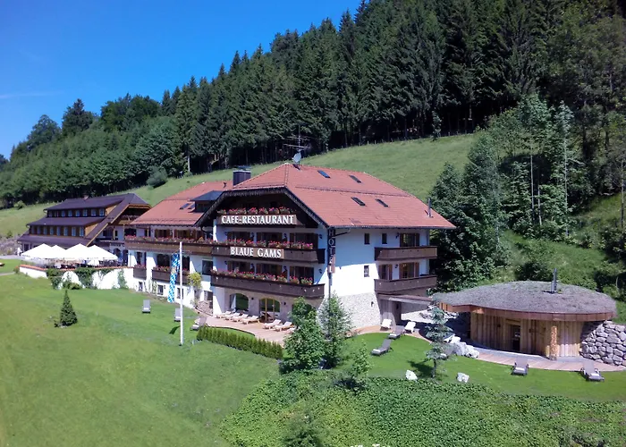 Hotel Blaue Gams ***S