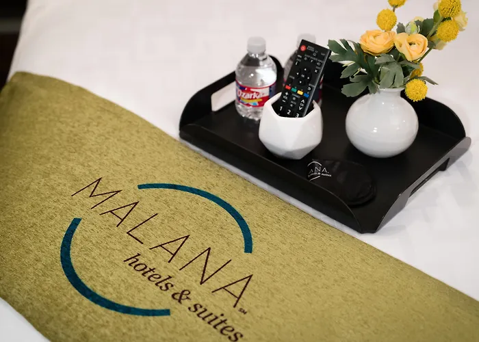 Malana Hotels & Suites