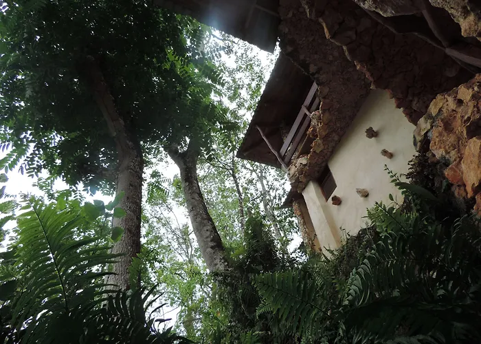 Altos de Caño Hondo