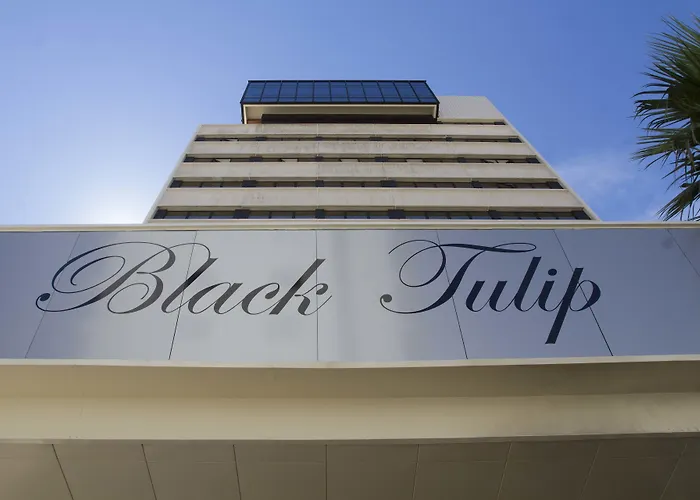 Hotel Black Tulip - Porto Gaia Vila Nova de Gaia