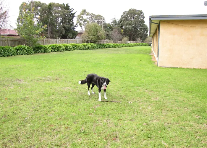 Motel Traralgon