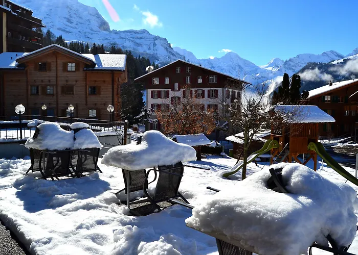 Alpenkraeuter Hotel Baeren Wengen