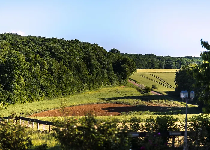 Hotel Le Petit Domaine de Bois Avril à Étais-la-Sauvin