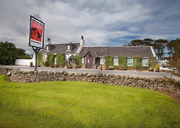 The Cock And Bull