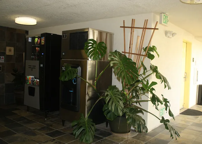 Airport Inn