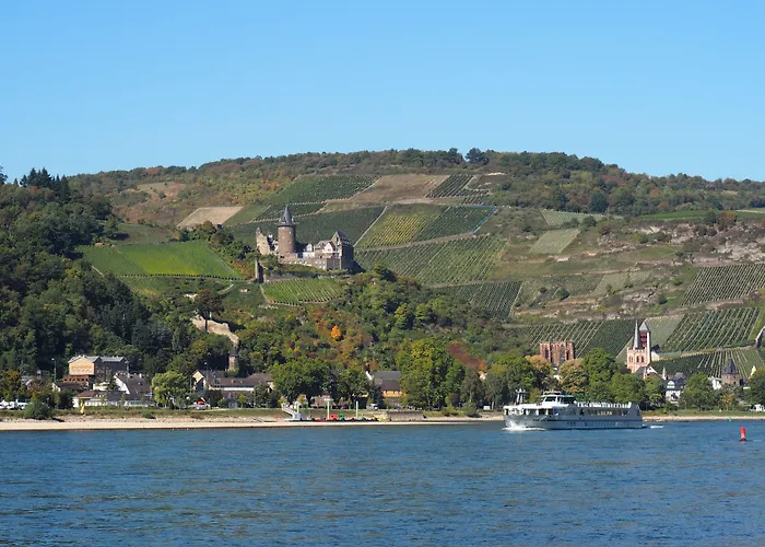 Gasthaus Weingut Stahl
