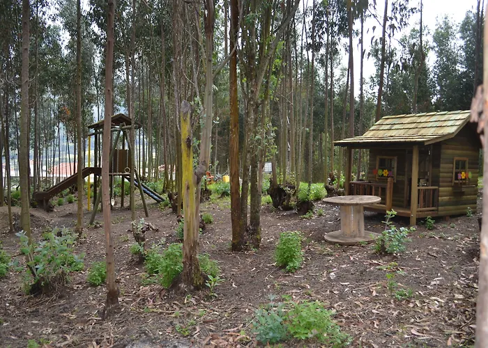 Medina Del Lago