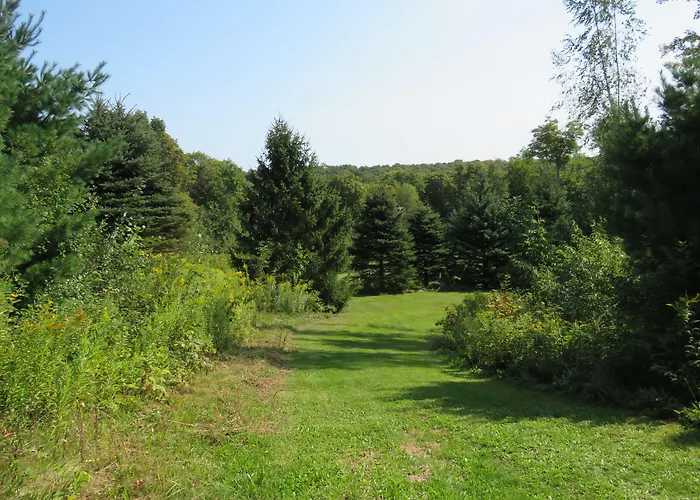 Tug Hill Resort
