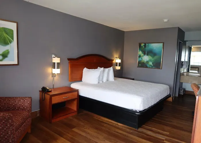 Americas Best Value Inn