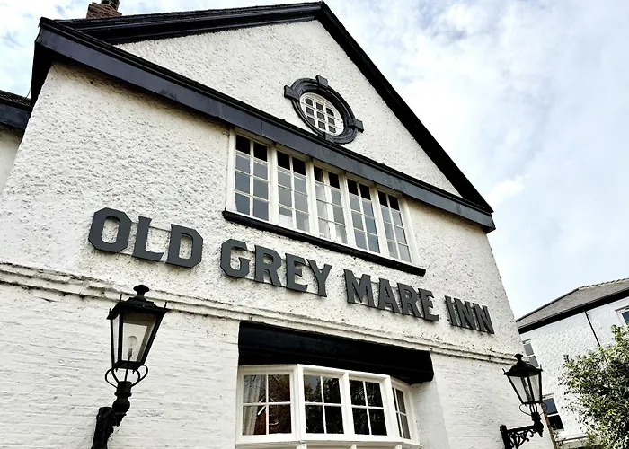 Old Grey Mare