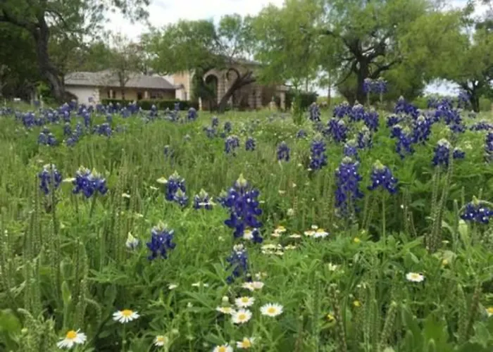 Live Oaks Bed And Breakfast