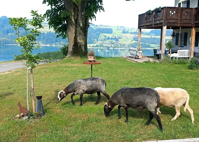 Roiderhof Irrsee