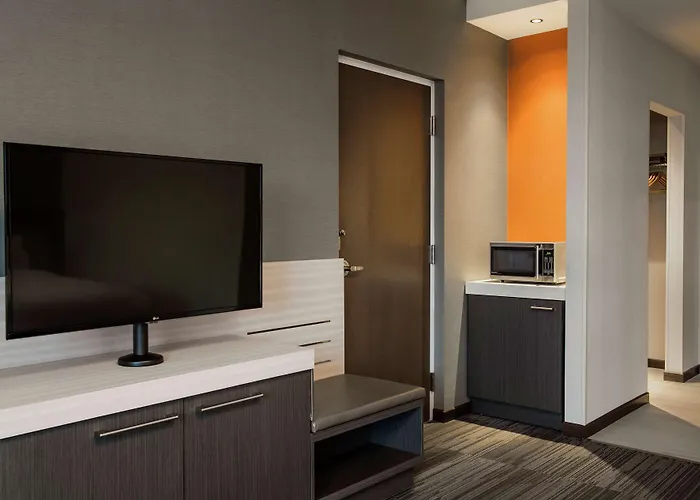 Hilton Garden Inn South