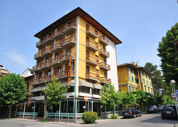 Hotel Salus