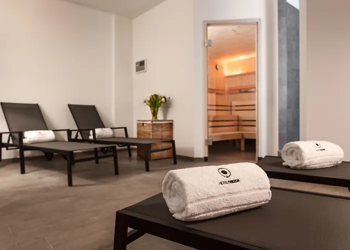 Hotel Trezor Singen 