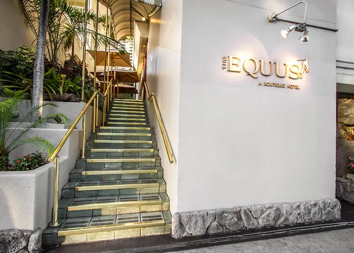 The Equus