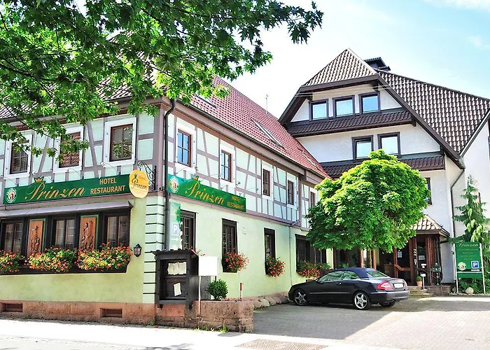 Prinzen