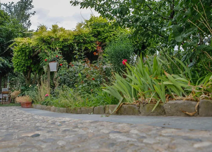 Bed and Breakfast Il Germano Reale Alba 