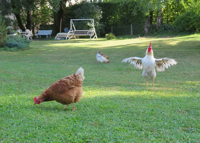 Les jardins d'armance