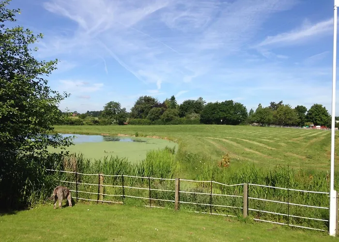 Whitethorn Bed And Breakfast