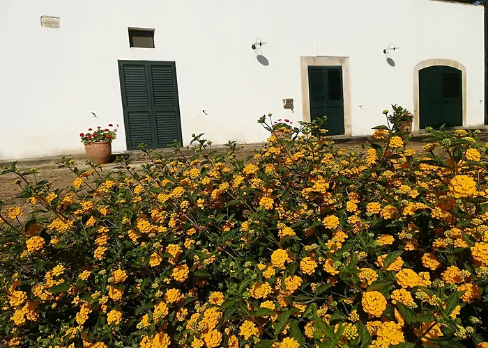 Masseria Fracchicchi Galatina