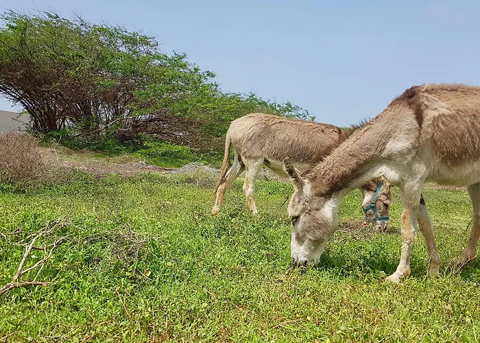 Villa Maris Ecolodge Morro