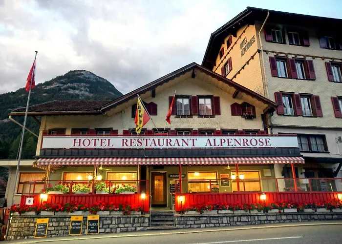 Alpenrose