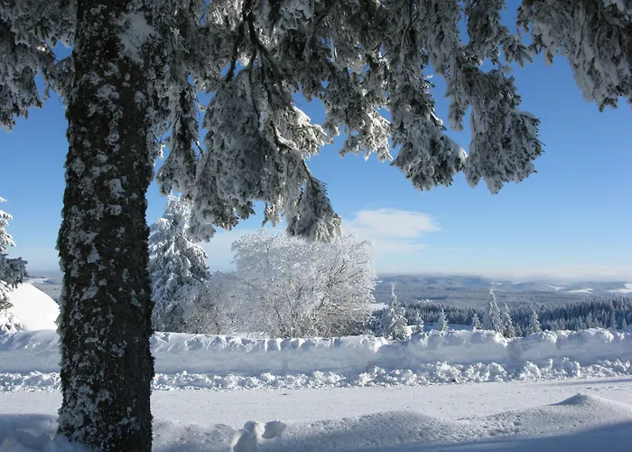 Elzland Hotel Pfauen Wellness & Spa