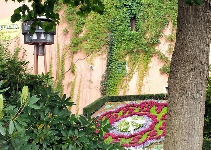 Hotel Schwarzer Bär