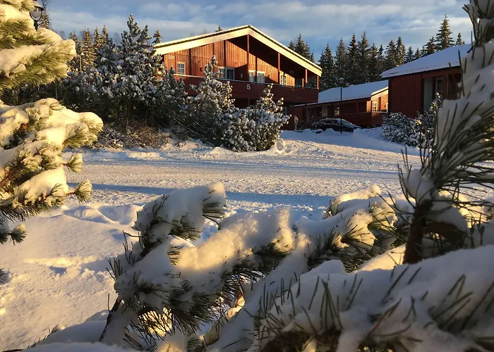 Birkebeineren & Apartments