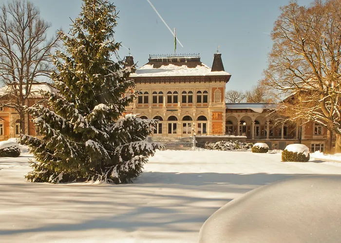 Hotel König Albert Bad Elster