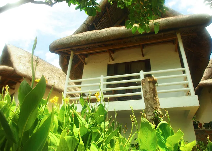 Alta Vista Ilocandia Inc.
