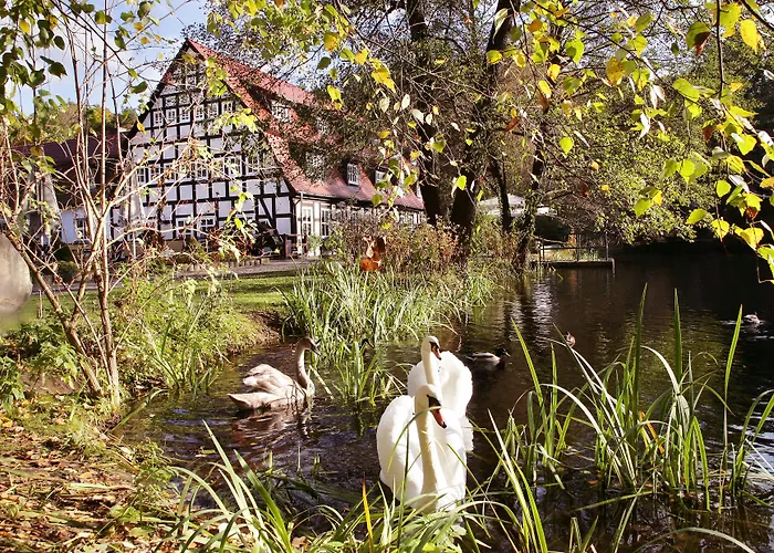 Springbach-Mühle