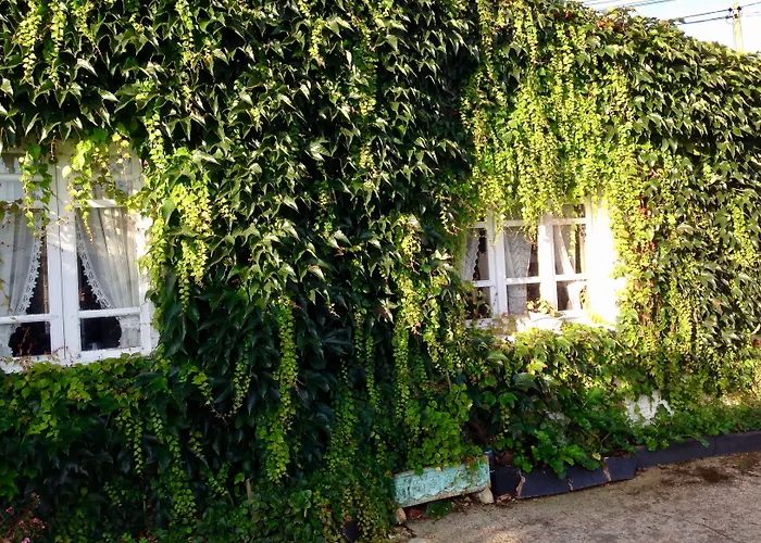 Casa Lourido
