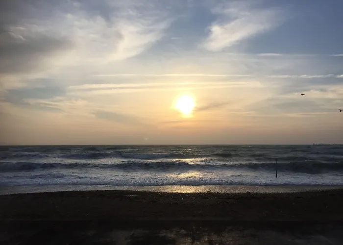 The Beach House