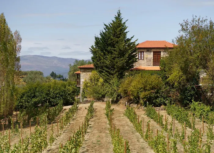 Casa De Sao Miguel Douro