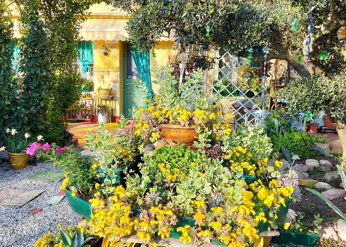 B&B Peschi in Fiore