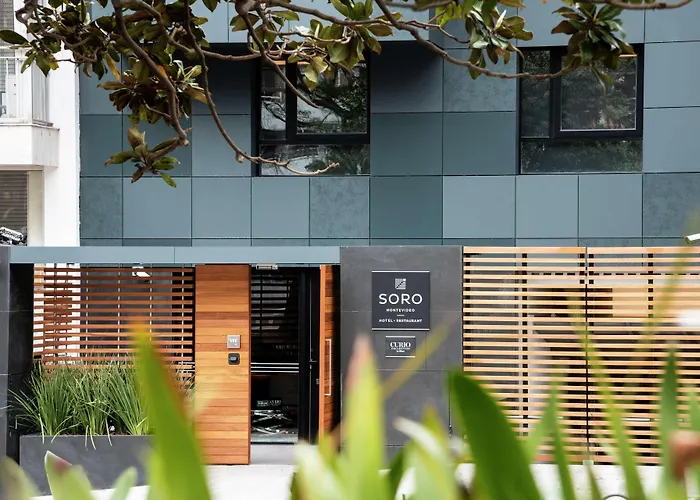 Soro , Curio Collection By Hilton
