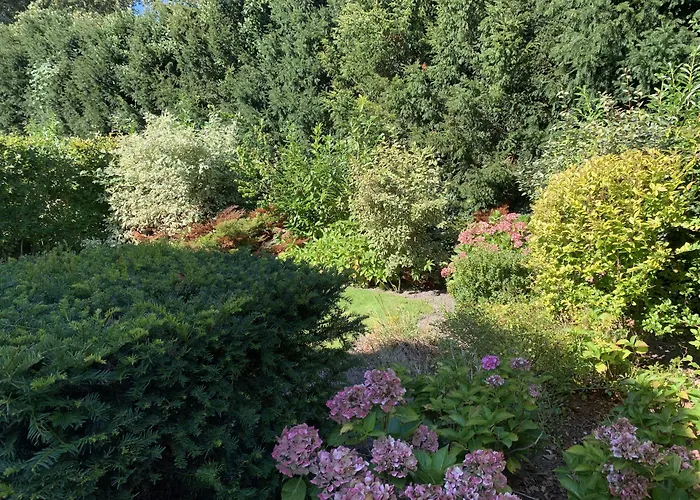 Hotel Europarcs Koningshof Schoorl