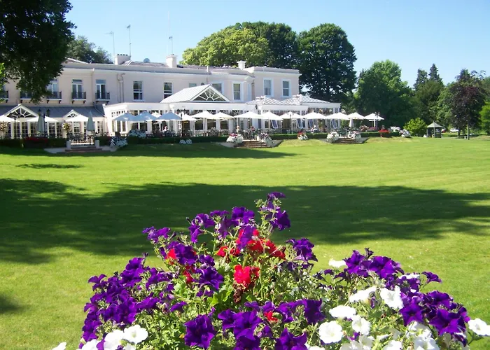 Phyllis Court Members Club