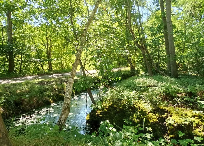 Hotel Schlösschen Sundische Wiese Ostseeheilbad Zingst