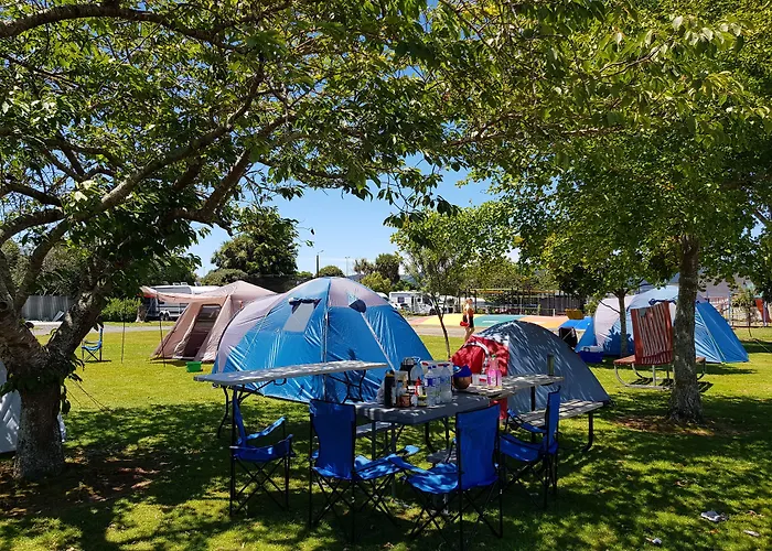Levin Top 10 Holiday Park