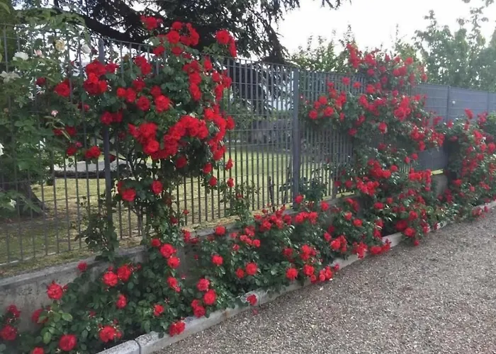 Tenuta La Rosa B&B