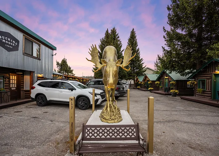 The Bucking Moose