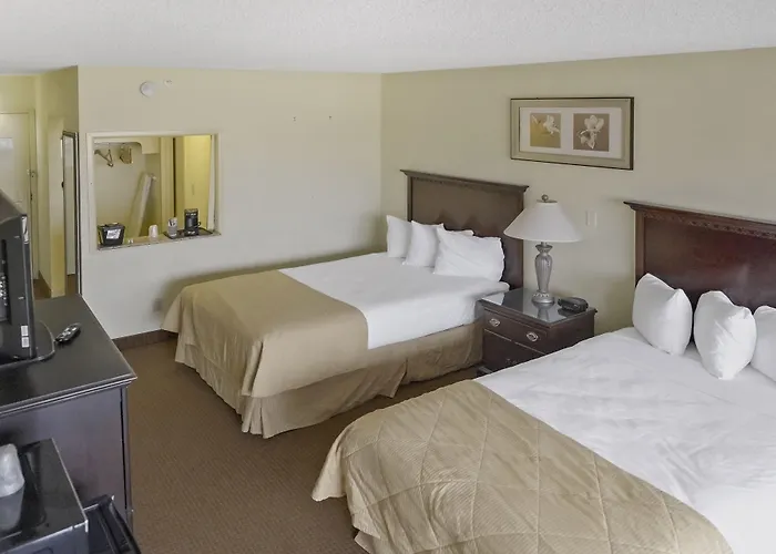 Economy Plus Wichita