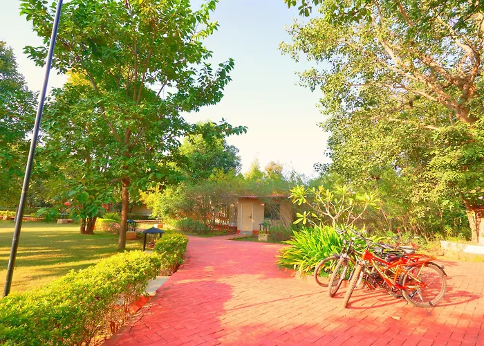 Bundela Bandhavgarh By Octave