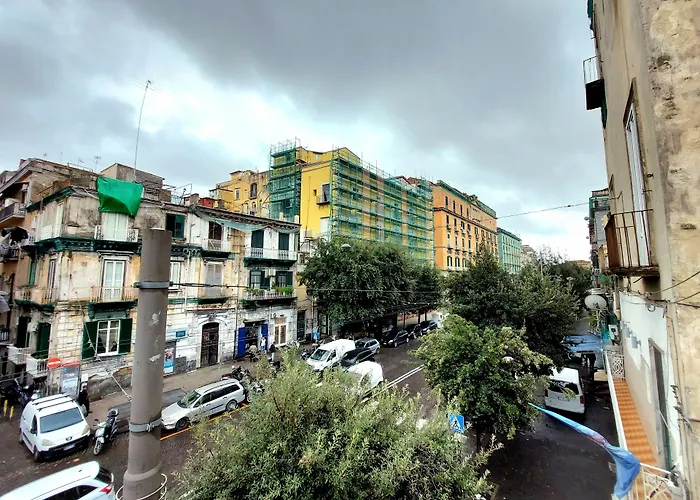 Berenice Suites