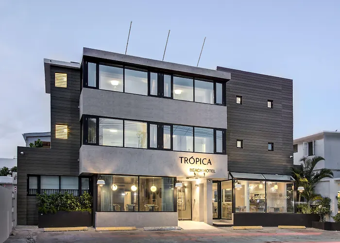 Tropica Beach (Adults Only)