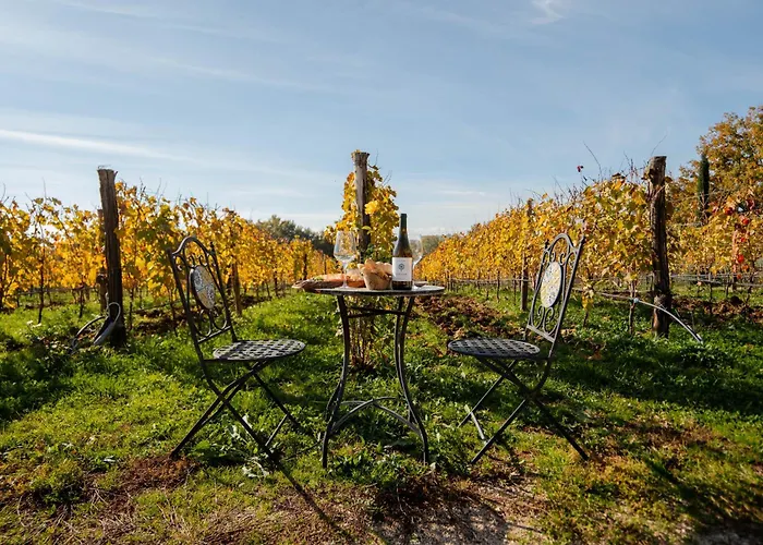 Al Piglio Maison De Charme Wine & Wellness Resort