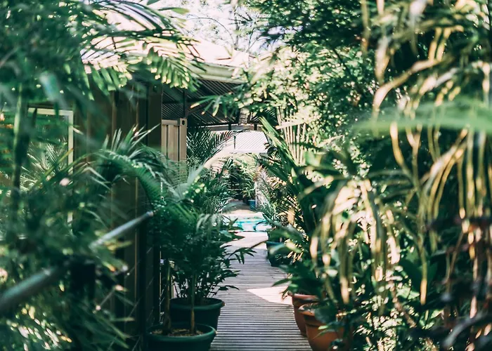 Danyasa Eco-Retreat